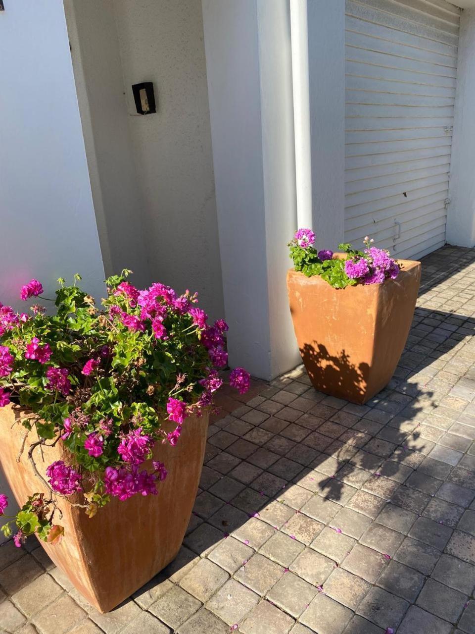 Braeside 12 Cape Town